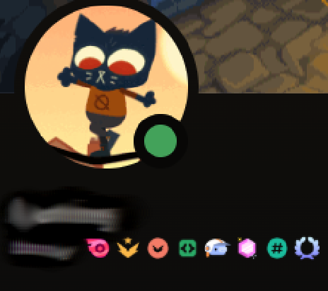 PREMIUM ACCOUNT